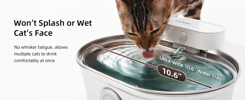 Best Wireless Pet Water Fountain
