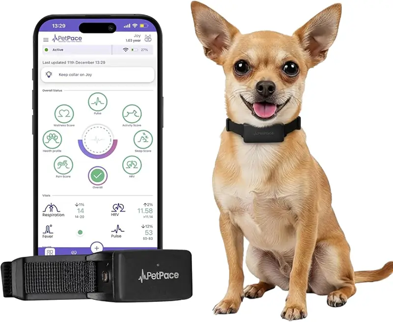 PetPace 3.0 review