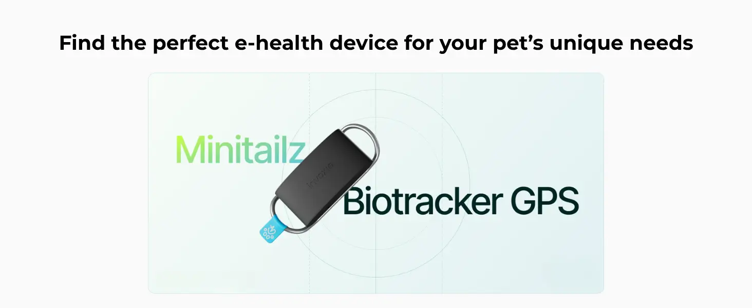 Best Dog Health Tracker
