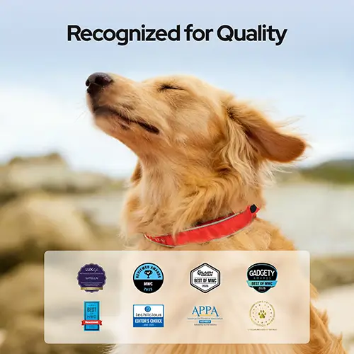 Satellai Petsense AI Collar in pink color