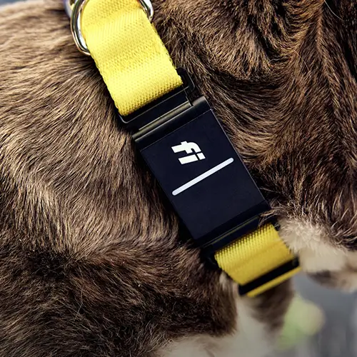 Fi Series 3 review
