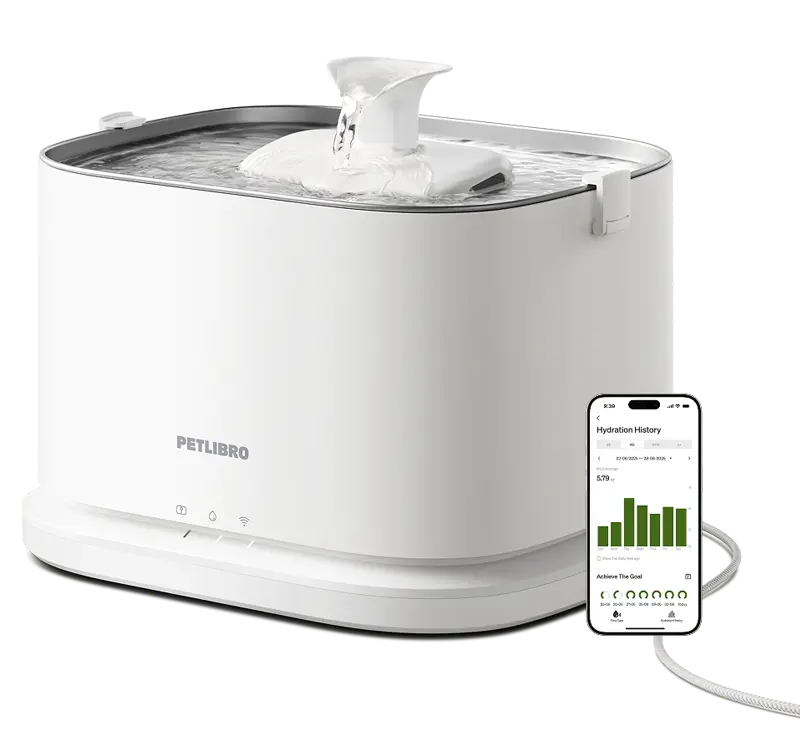 PETLIBRO Dockstream 2 smart cordless pet water fountain
