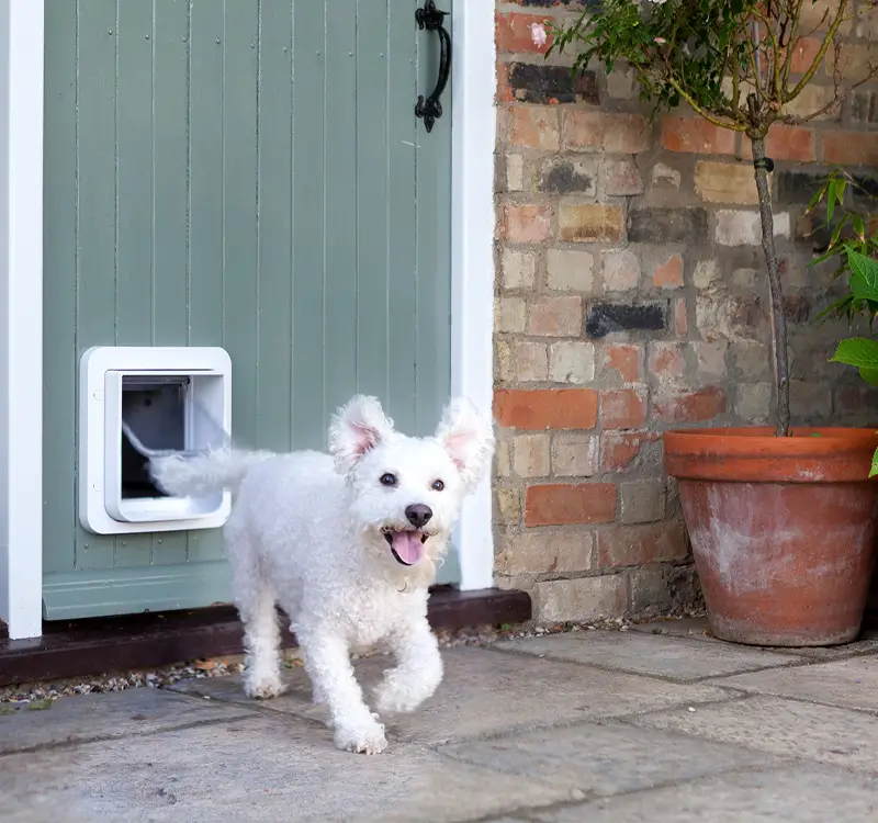 SureFlap Microchip Pet Door for cats and small dogs